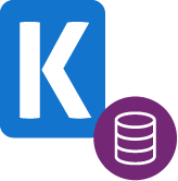 CDM (Common Data Model) SSIS Components (SSIS Productivity Pack)