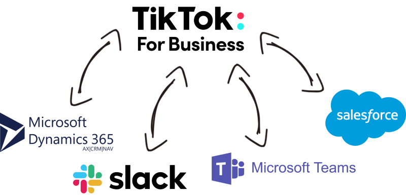 tiktok-business-ssis-data-integration.png