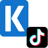 TikTok Business SSIS Components (SSIS Integration Toolkit)