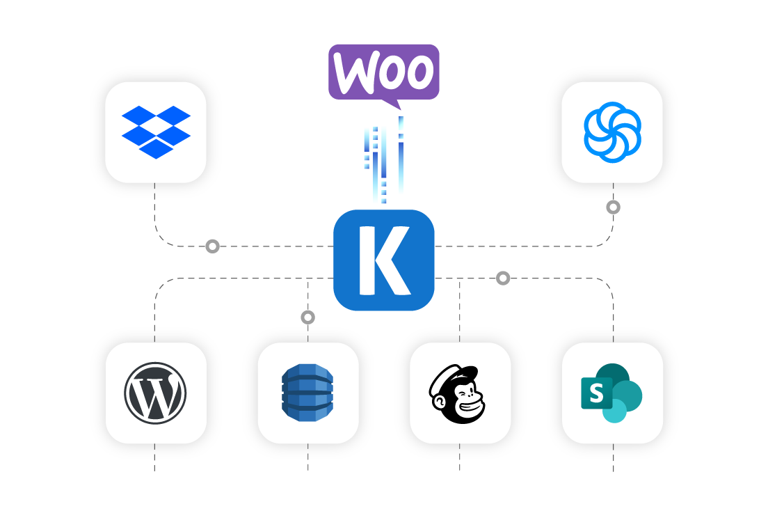 woocommerce-ssis-data-integration-01.png