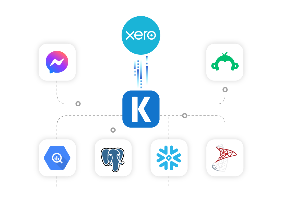 xero-ssis-data-integration-01.png